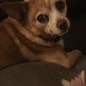 Meet your Posher, Christa